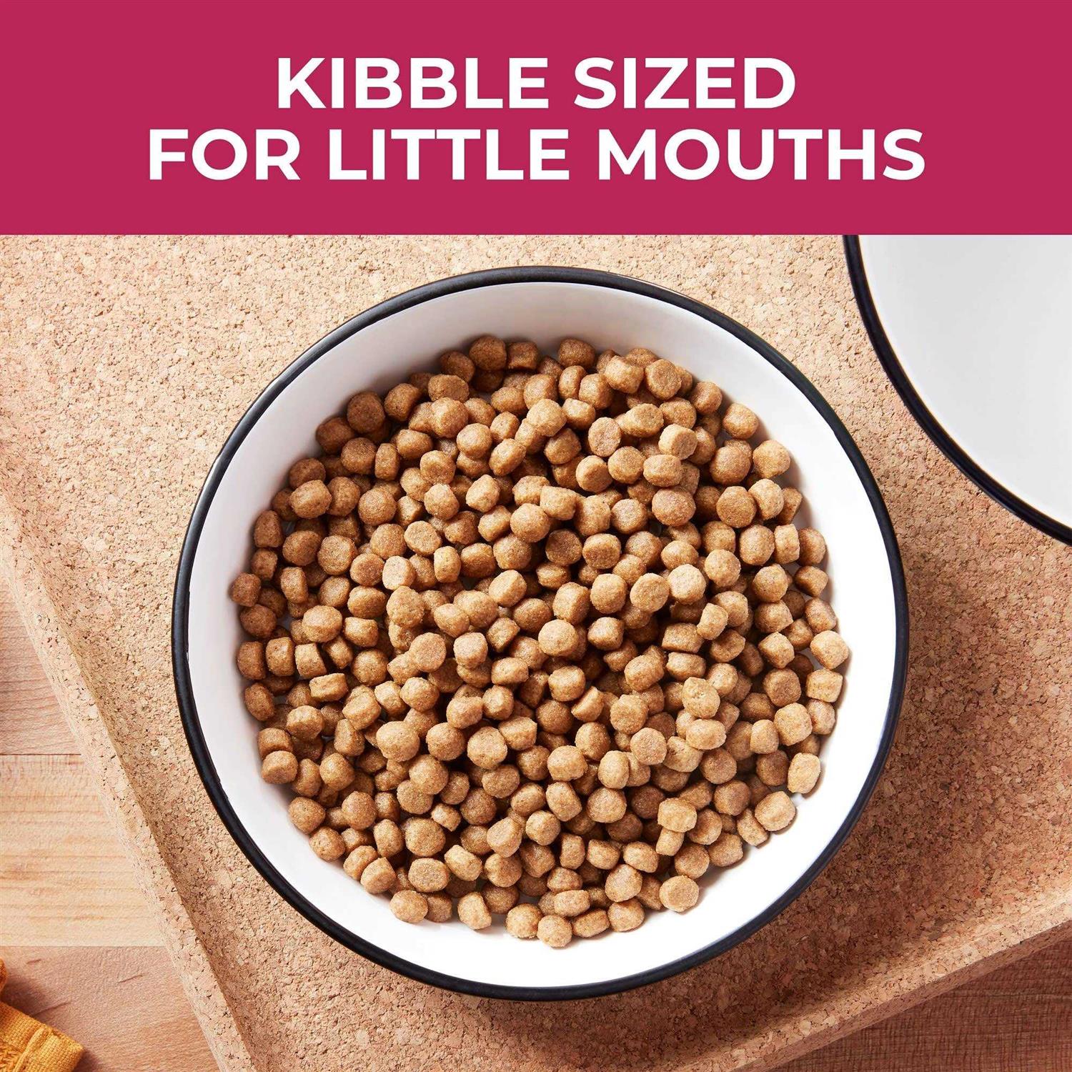 Nature's Recipe Recipe Small Bites Dry Dog Food - Image 2