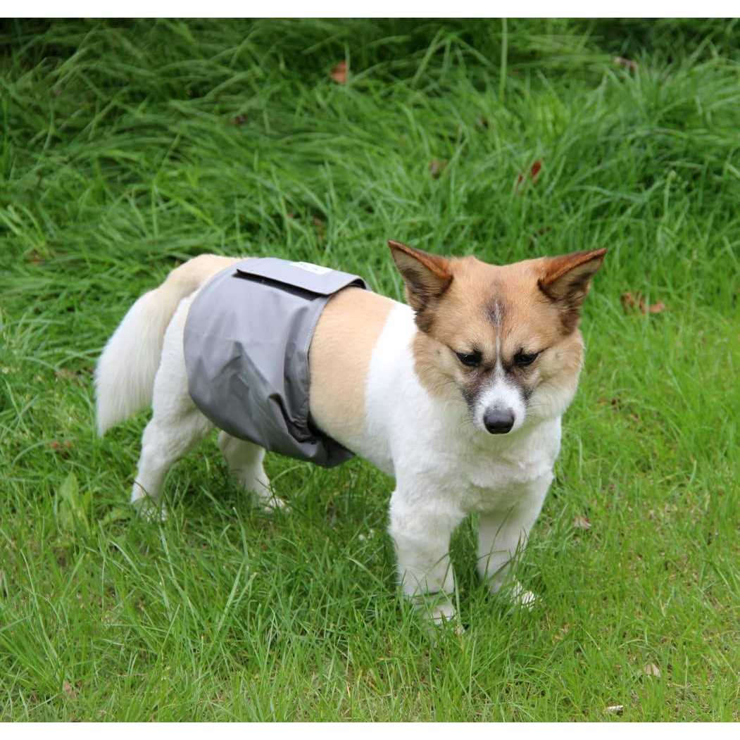 JoyDaog Reusable Belly Bands for Dogs,5 Pack Washable Dog Diapers Male Puppy Nappies Wrap - Image 5