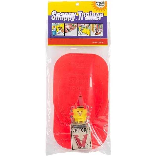 Hueter Toledo The Original Snappy Trainer 3 pack - Image 2