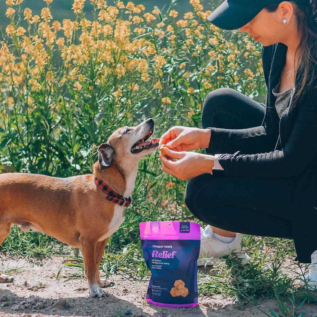 Hemp Relief Bites - Image 5