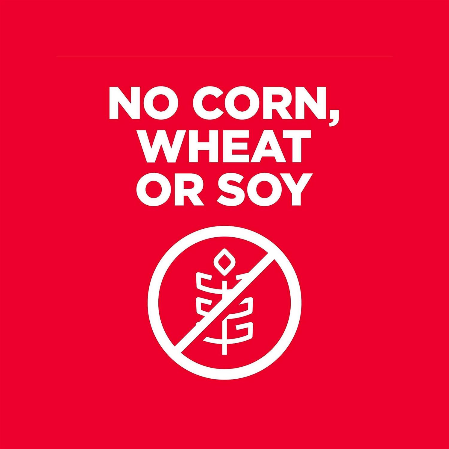 Hill's Science Diet Senior 7+ No Corn, Wheat or Soy Dry Dog Food - Image 2