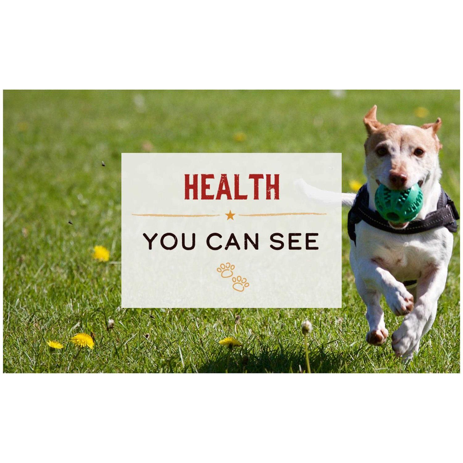 Merrick Lil Plates Grain Free Small Dog Food - Image 3