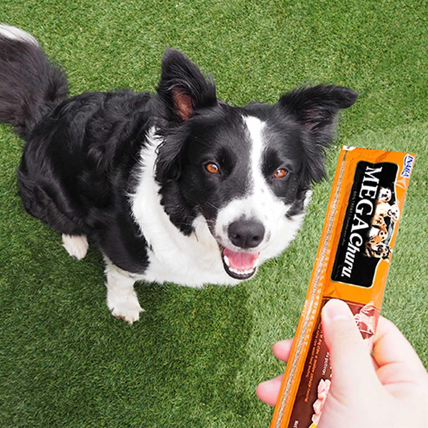 Inaba Dog Mega Churu Chicken Flavored Grain-Free Lickable Dog Treats - Image 3