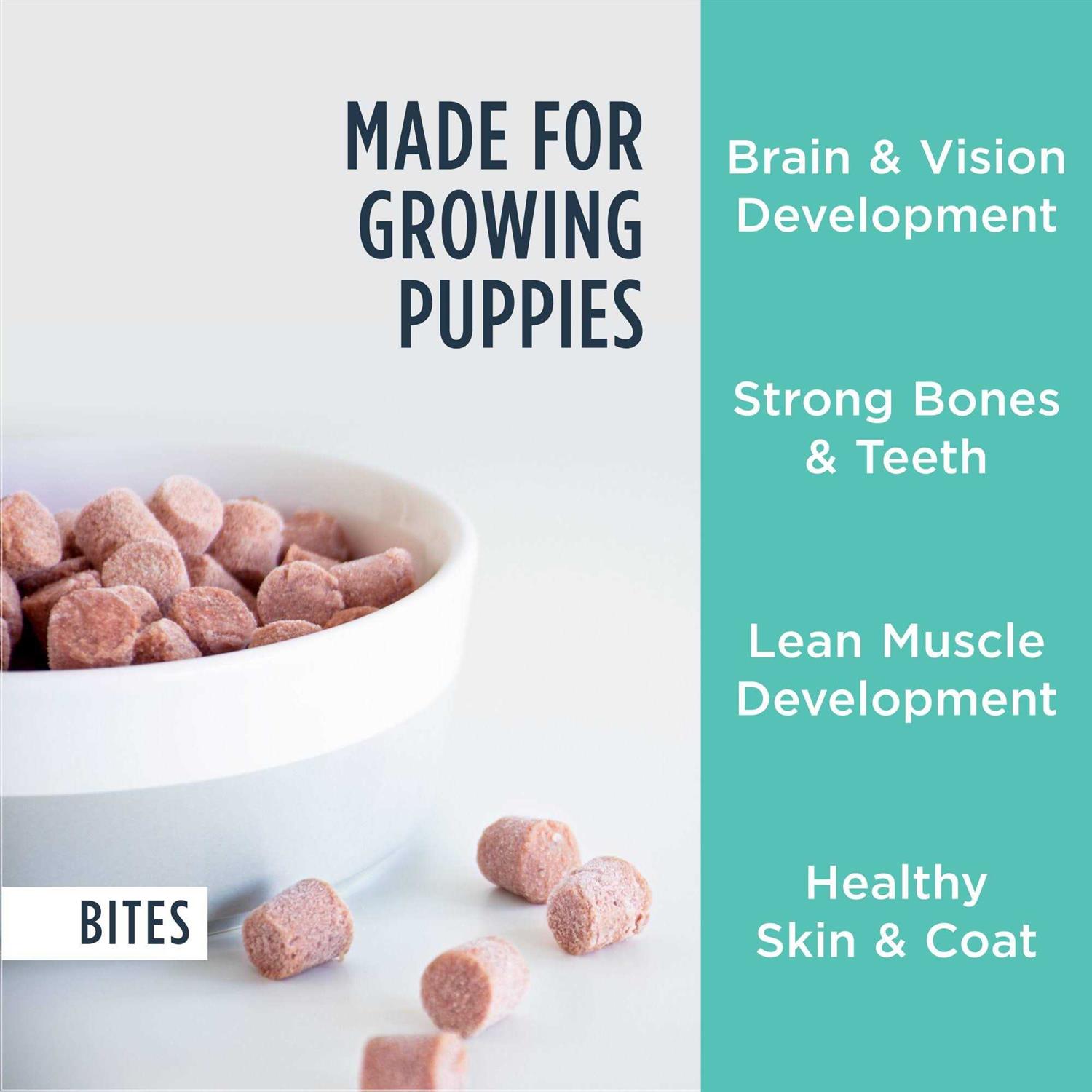 Instinct Raw Frozen Puppy Bites Cage-Free Chicken Recipe Dog Food - Image 2