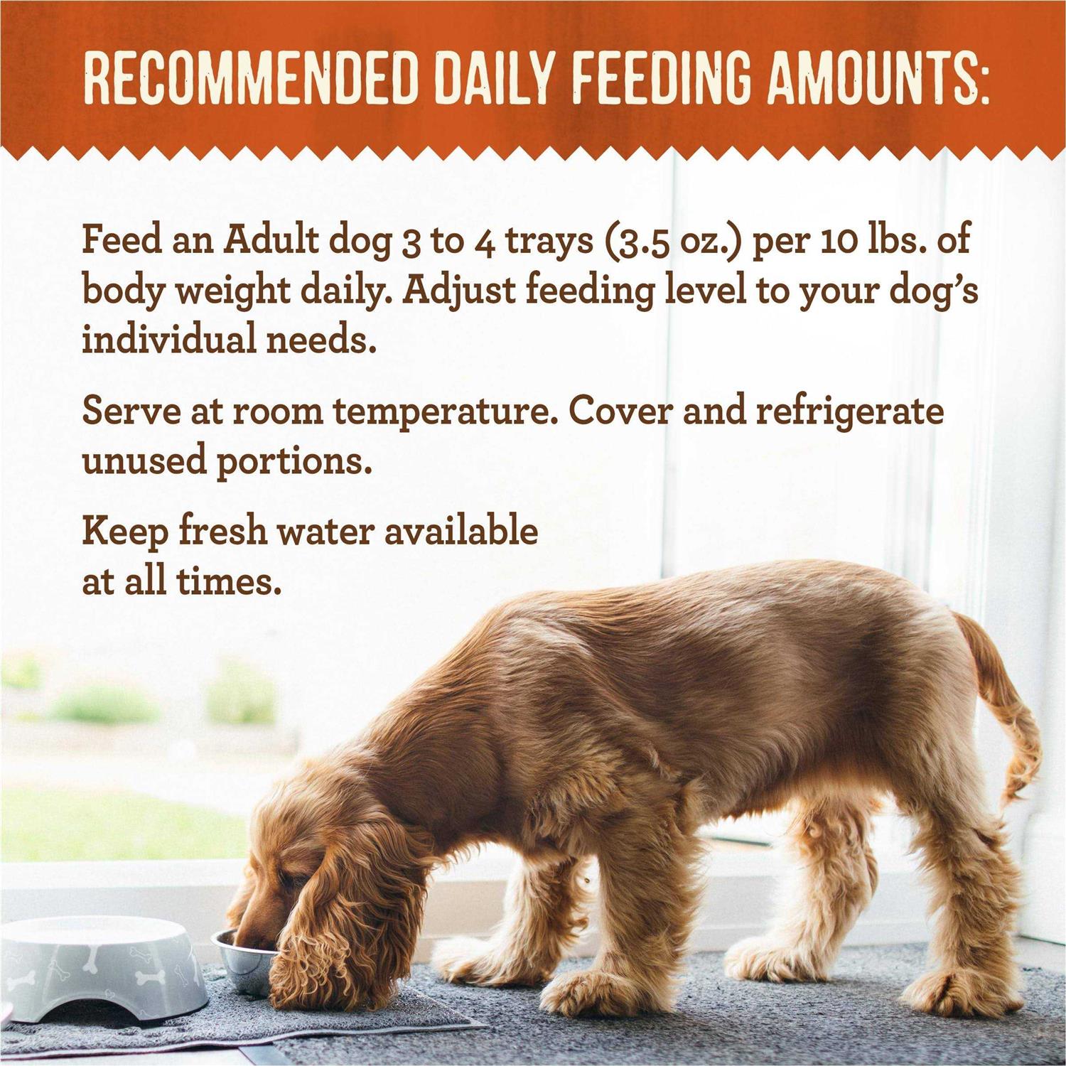 Merrick Lil Plates Mini Medley Wet Dog Food Variety Pack - Image 3