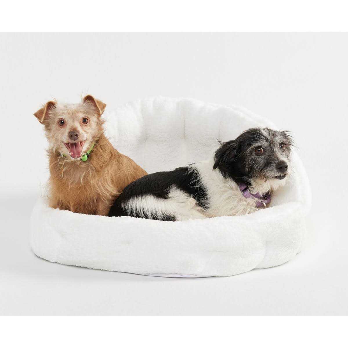 KindTail PAWD Lounger – Bed Lounger - Image 4