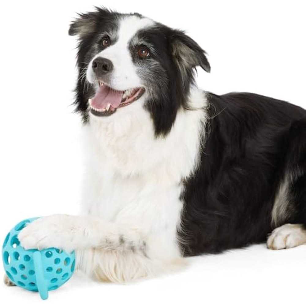 Leaps & Bounds Cage Ball with Handle Dog Toy - Image 3