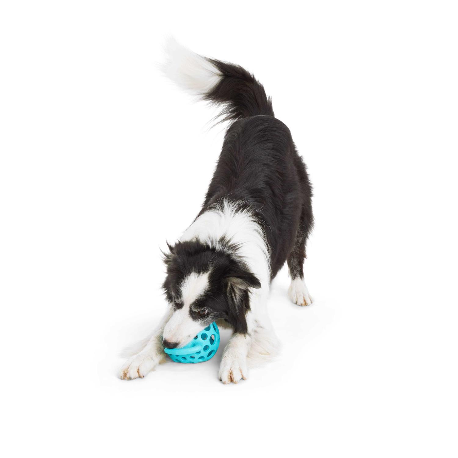 Leaps & Bounds Cage Ball with Handle Dog Toy - Image 5