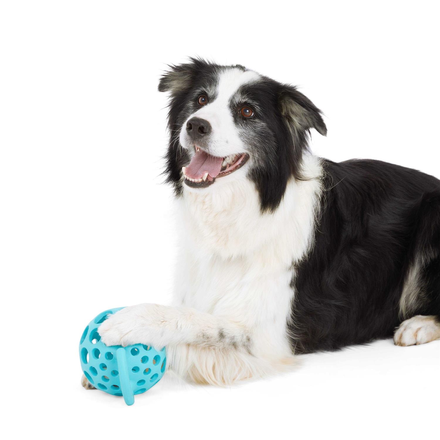 Leaps & Bounds Cage Ball with Handle Dog Toy - Image 2