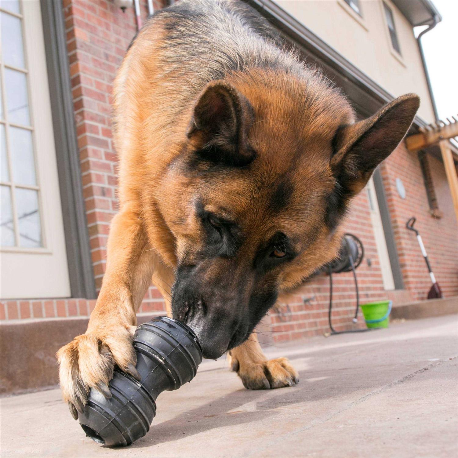 KONG Extreme Dental Dog Toy - Image 5