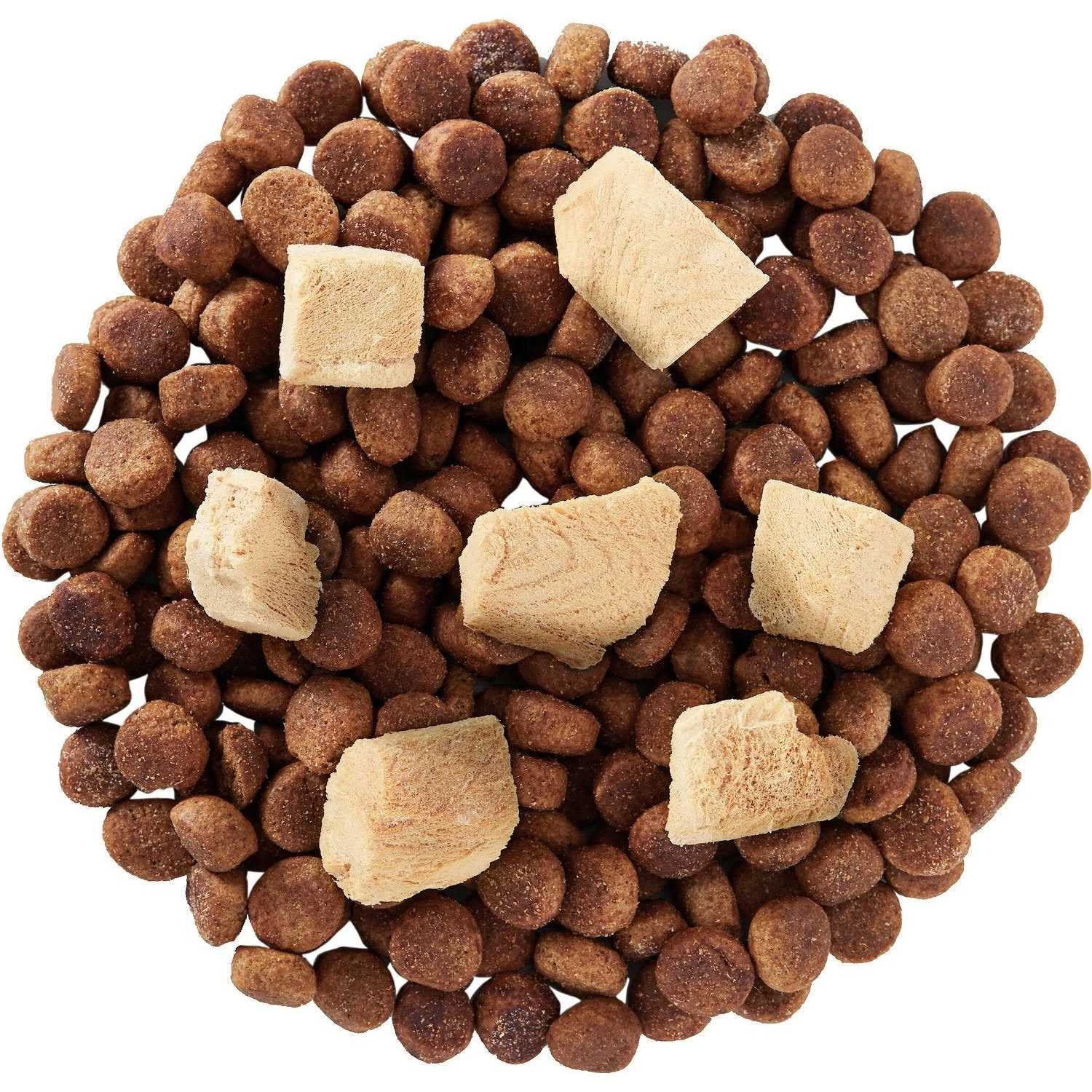 Tylee's Salmon Human-Grade Freeze-Dried Dog Treats - Image 3