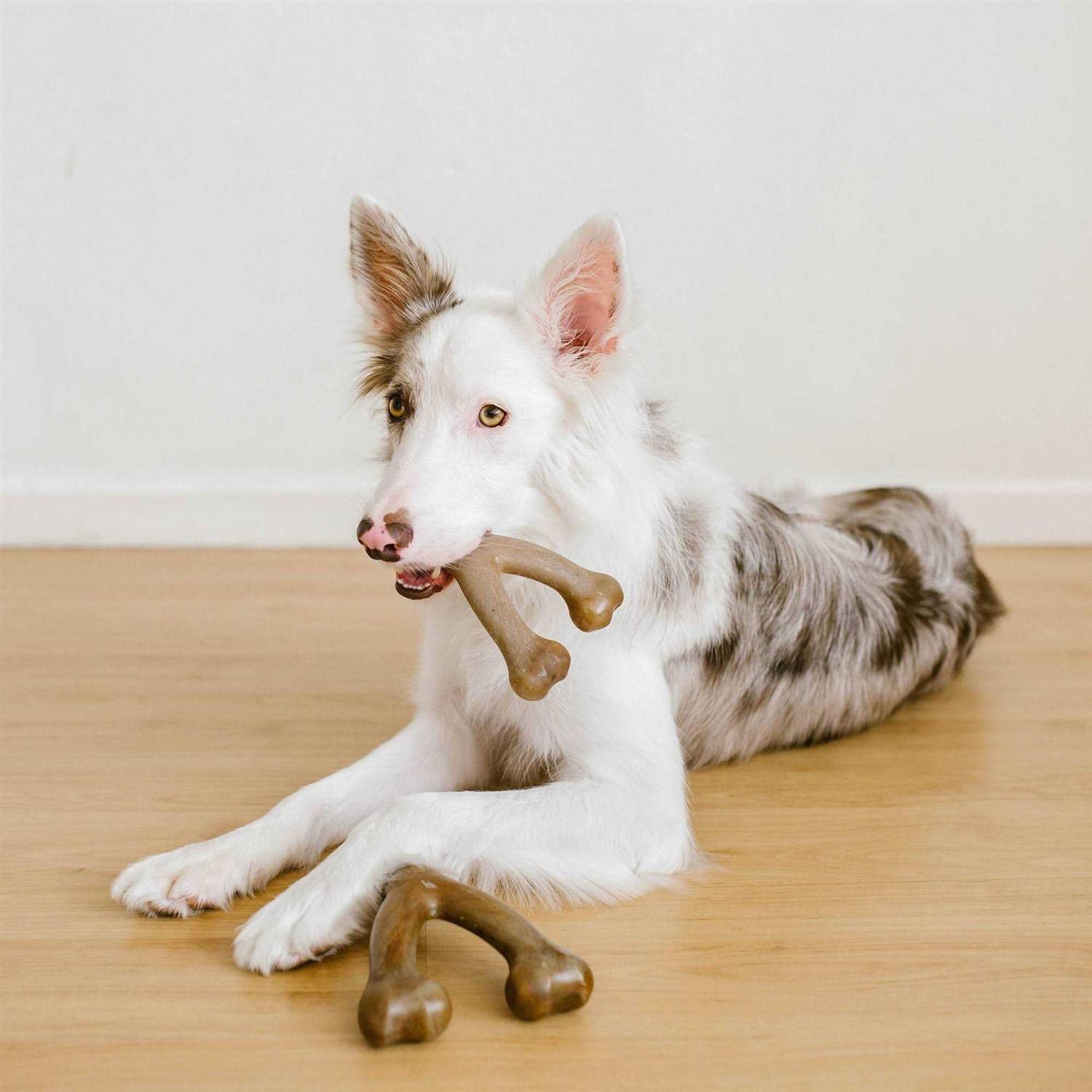 Lumabone Real Bacon Durable Wishbone Dog Chew Toy - Image 5