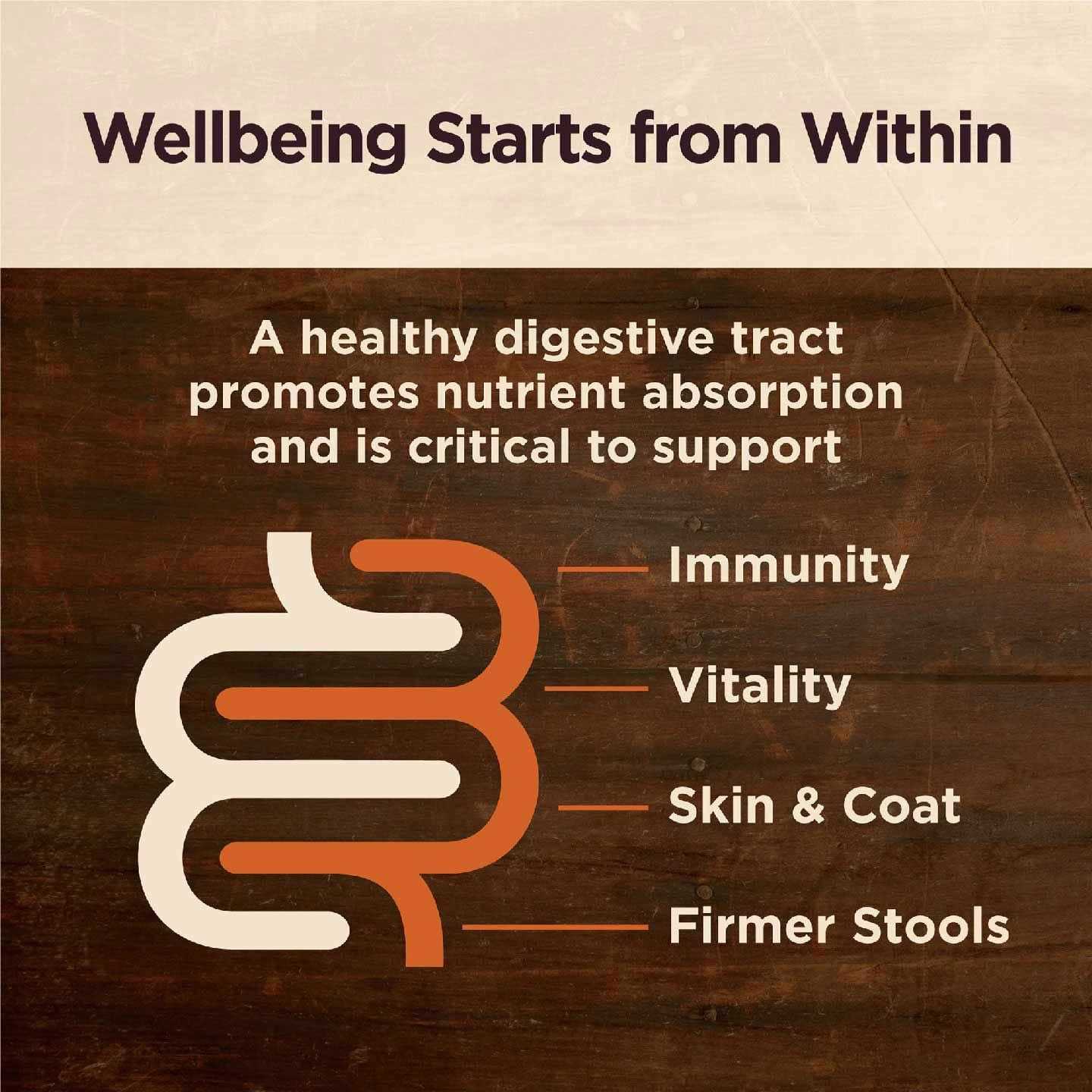 Wellness Core Digestive Health Beef Grain Free Wet Dog Food - Image 3