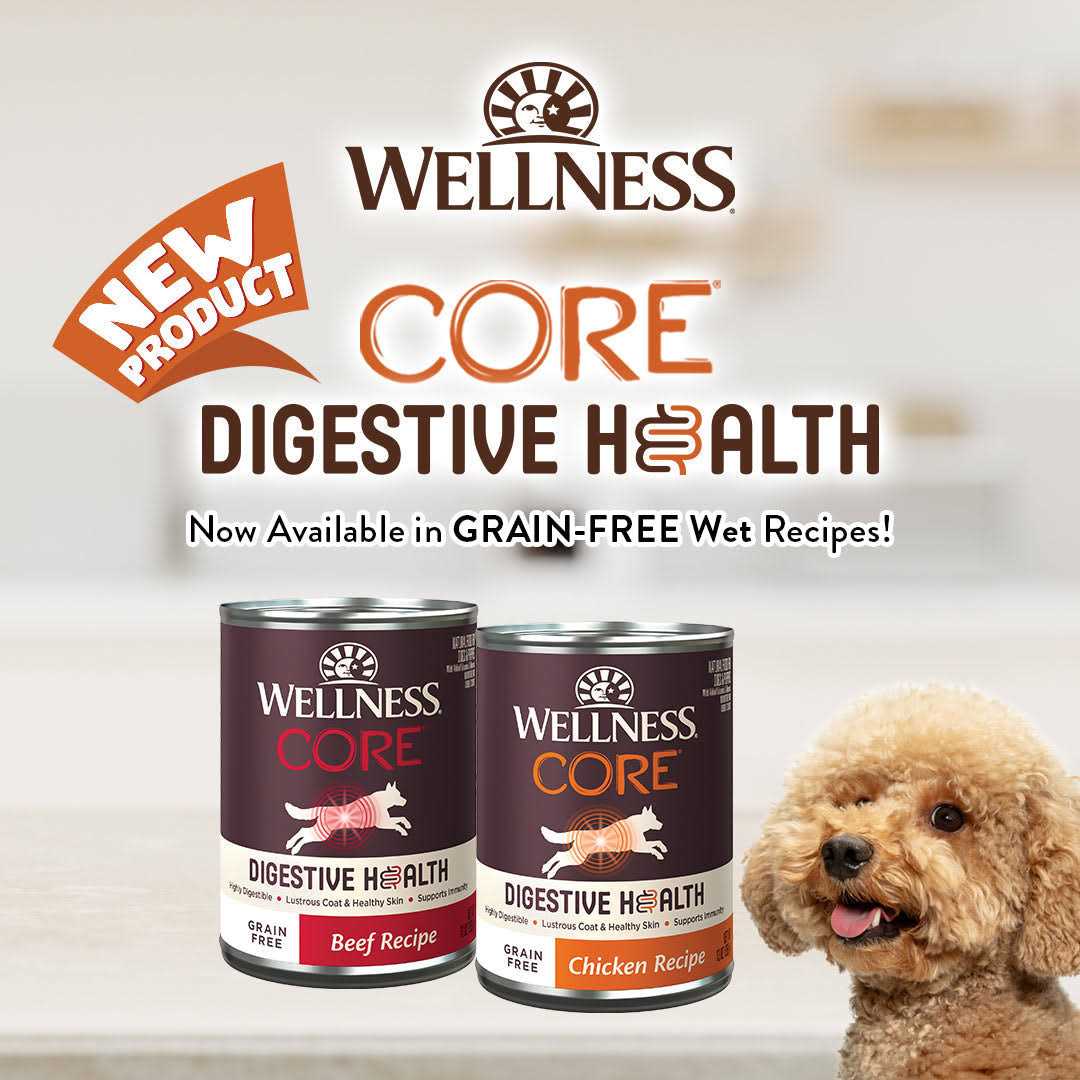 Wellness Core Digestive Health Beef Grain Free Wet Dog Food - Image 5