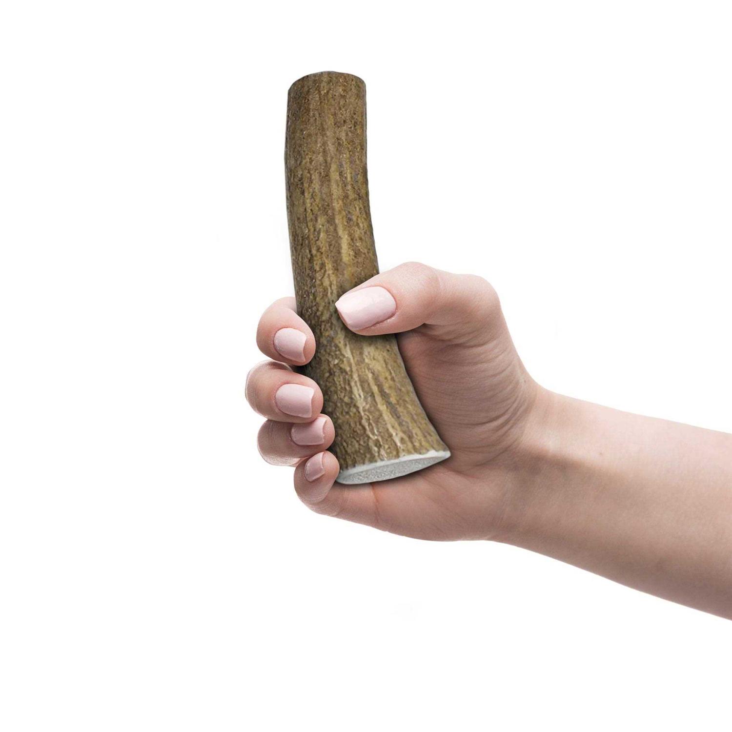 K9warehouse Elk Antlers for Dogs Made in USA - Image 2