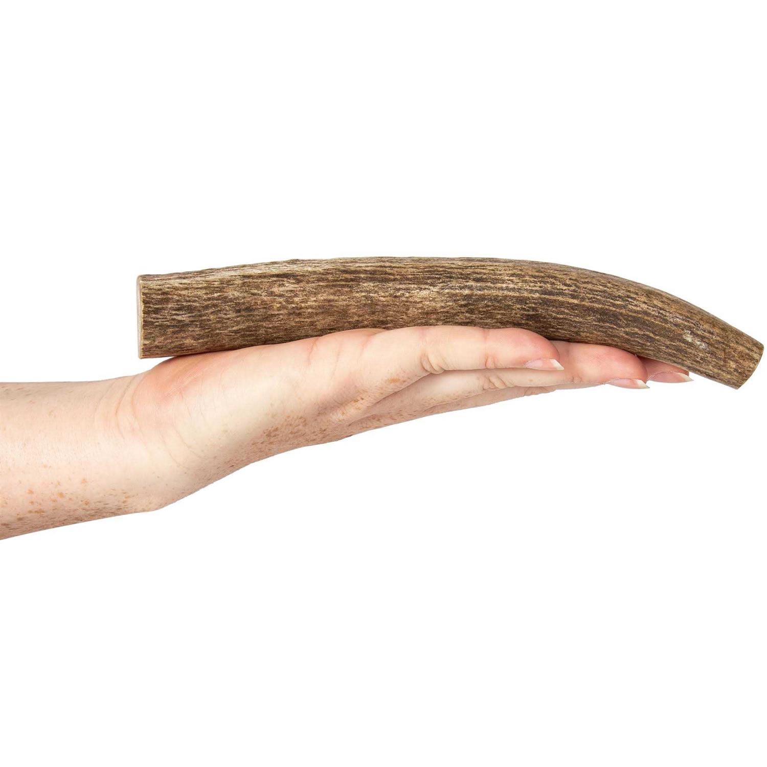 K9warehouse Elk Antlers for Dogs Made in USA - Image 3