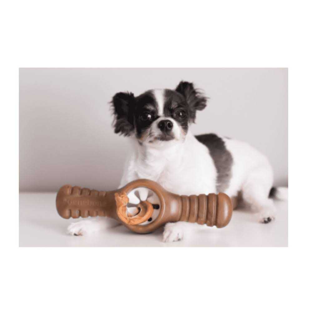 Benebone Bacon Pawplexer Dog Chew Toy - Image 4