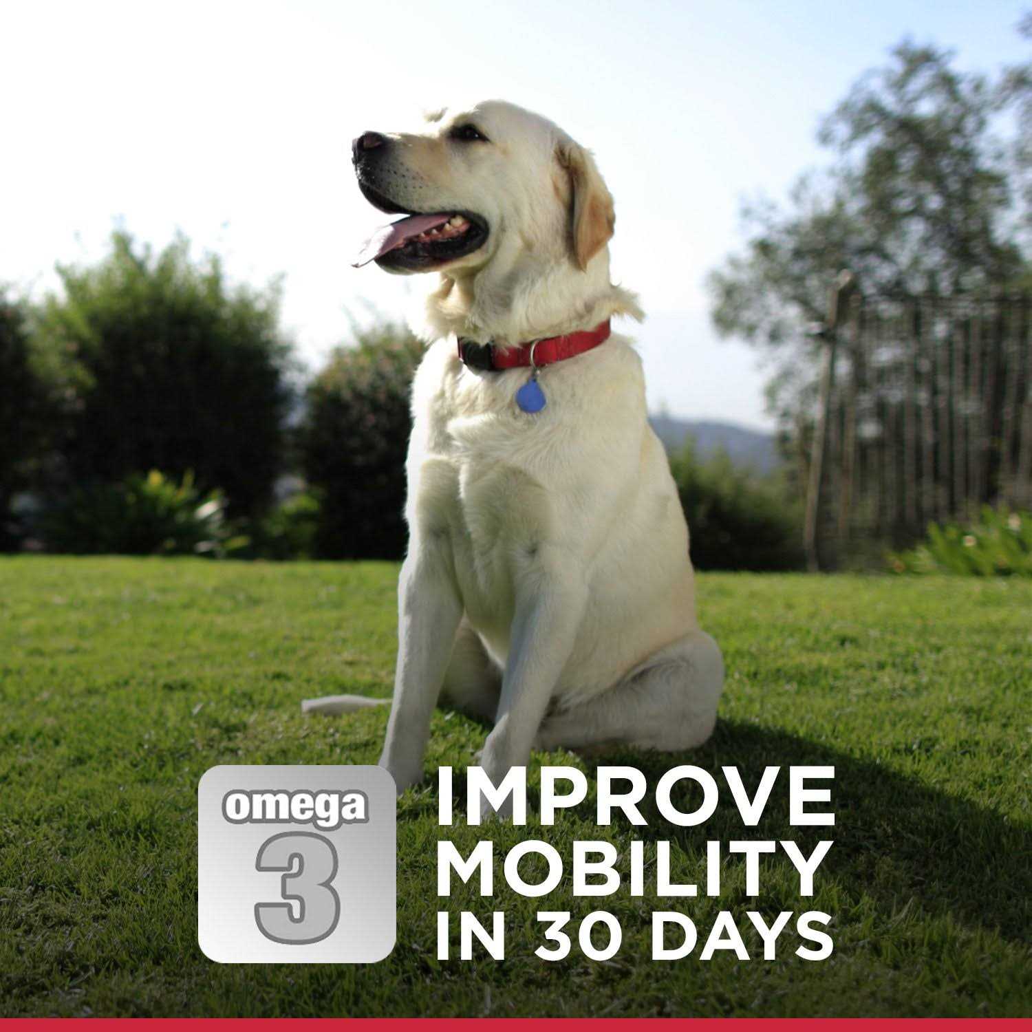 Hill's Science Diet Adult Healthy Mobility Small Bites Dog Food - Image 2