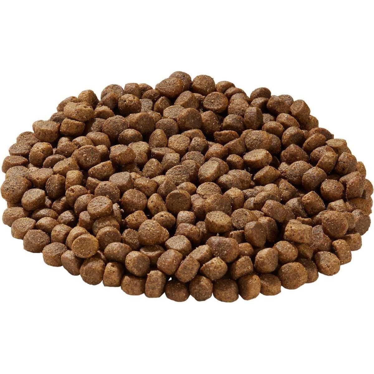 Health Extension Lite Chicken & Brown Rice Dry Dog Food - Image 4