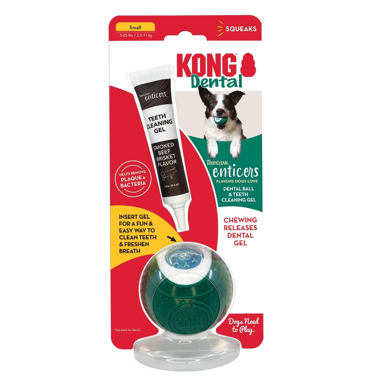Kong Dental Ball & Teeth Cleaning Gel Dog Toy