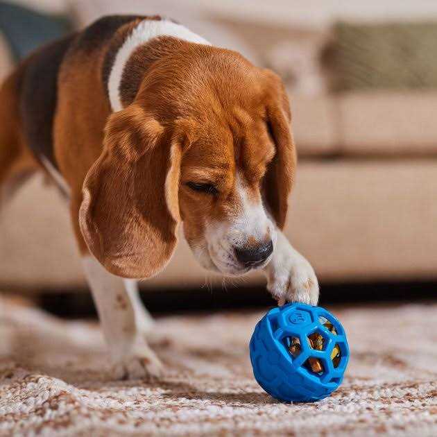 JW Pet Treat N Squeak Dog Toy - Image 3