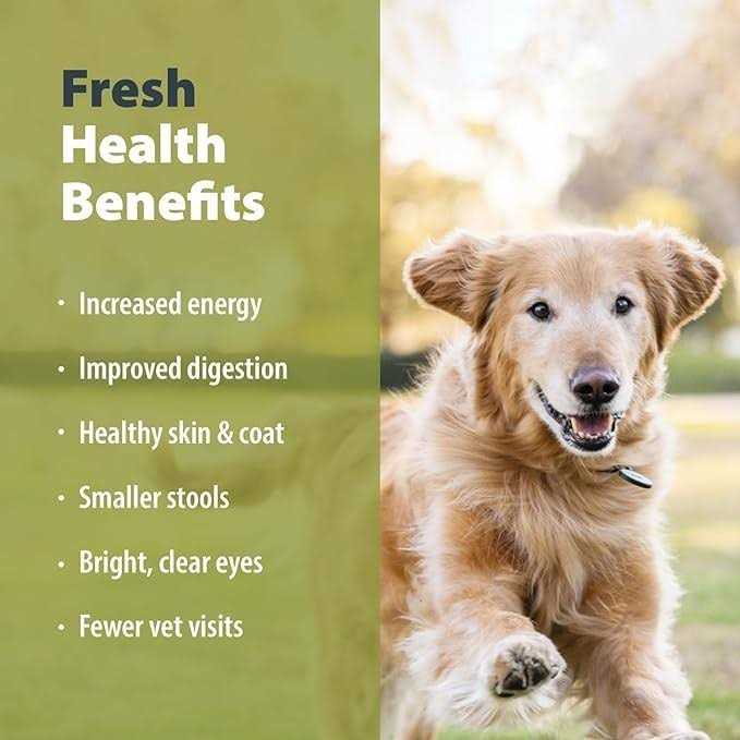 JustFoodForDogs Diets Balanced Remedy Frozen Dog Food - Image 3