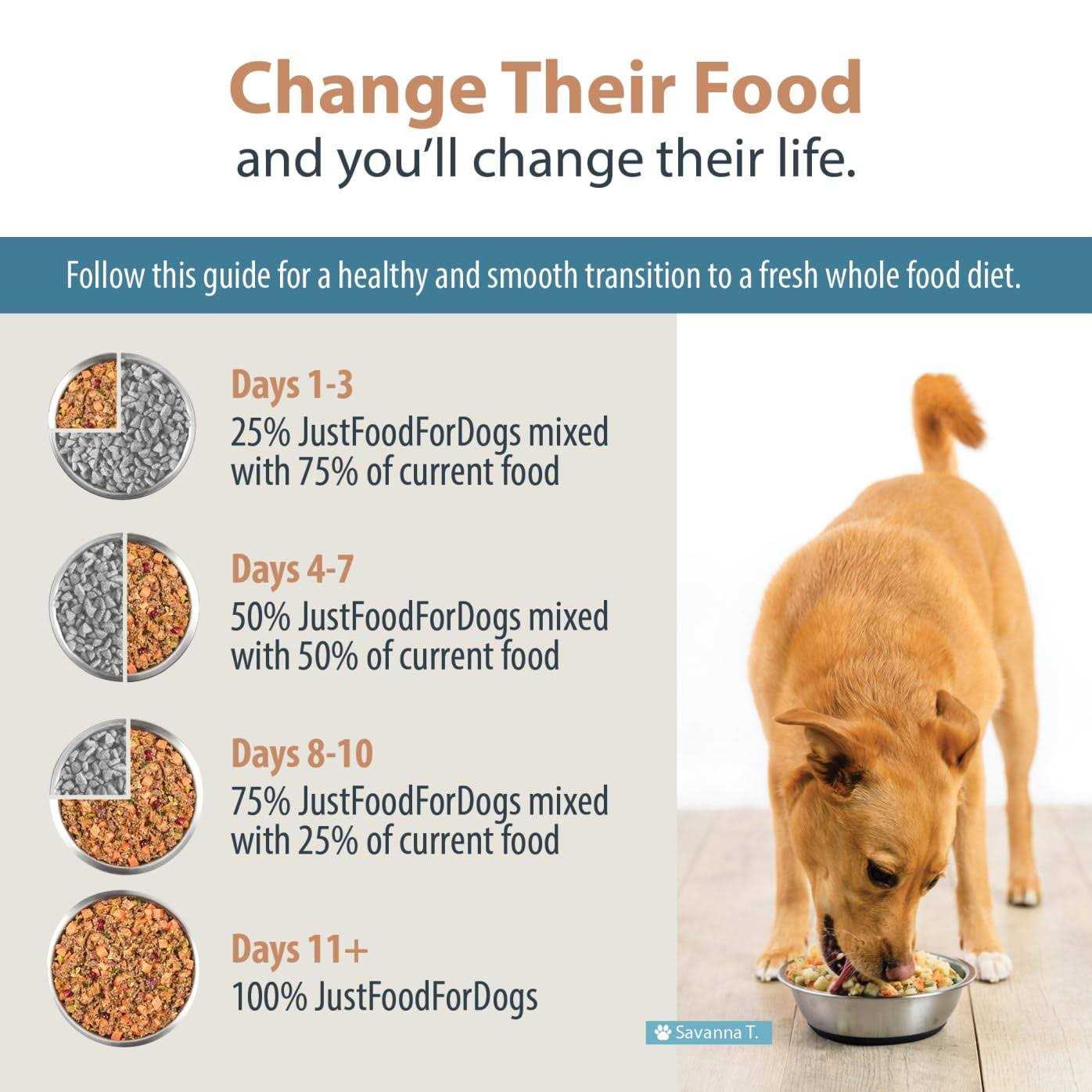 JustFoodForDogs Diets Balanced Remedy Frozen Dog Food - Image 4