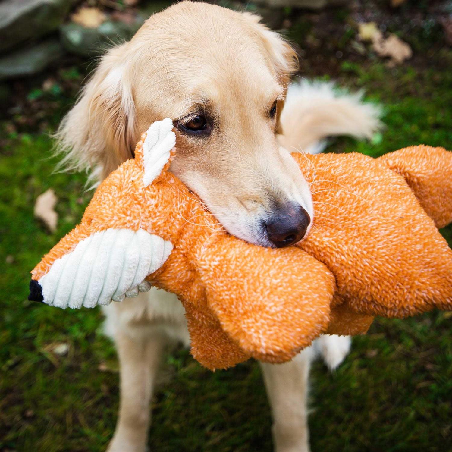 HuggleHounds Squooshie Fox Plush Dog Toy - Image 5