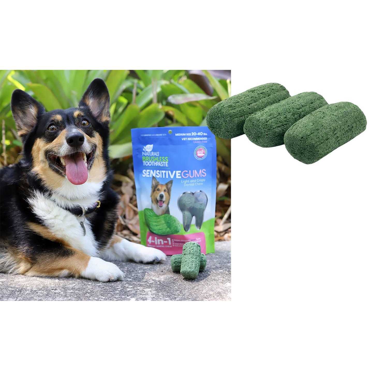 Ark Naturals Sensitive Gums Brushless Toothpaste - Image 5