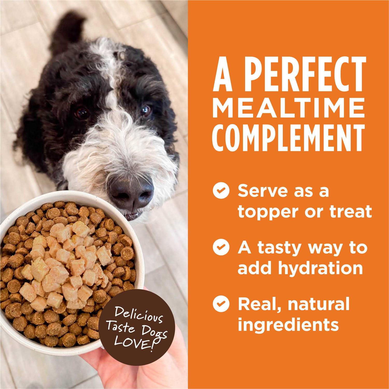 Instinct Healthy Cravings Grain Free Real Recipe Wet Dog Food Topper - Image 4
