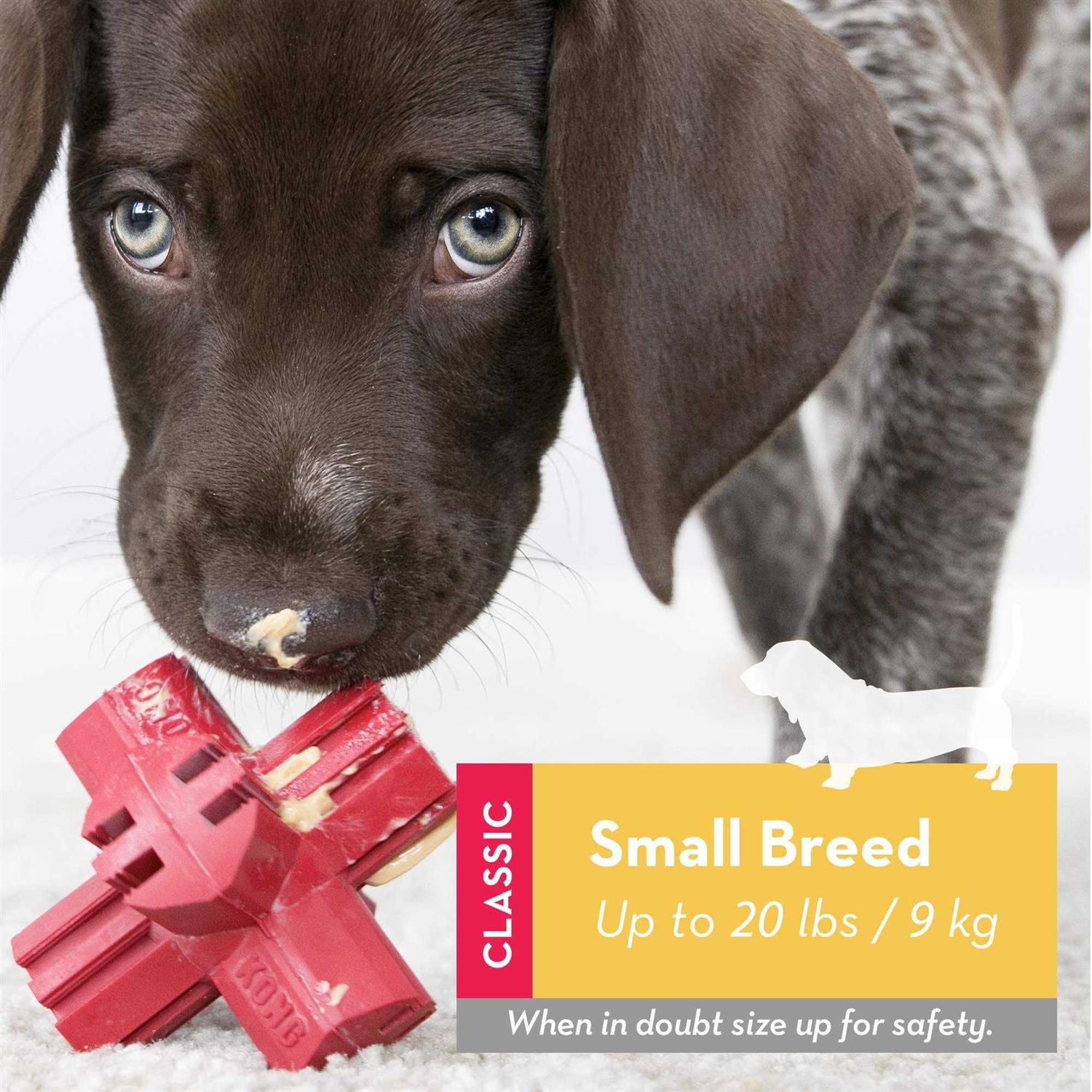 KONG Jump'N Jack Dog Toy - Image 4