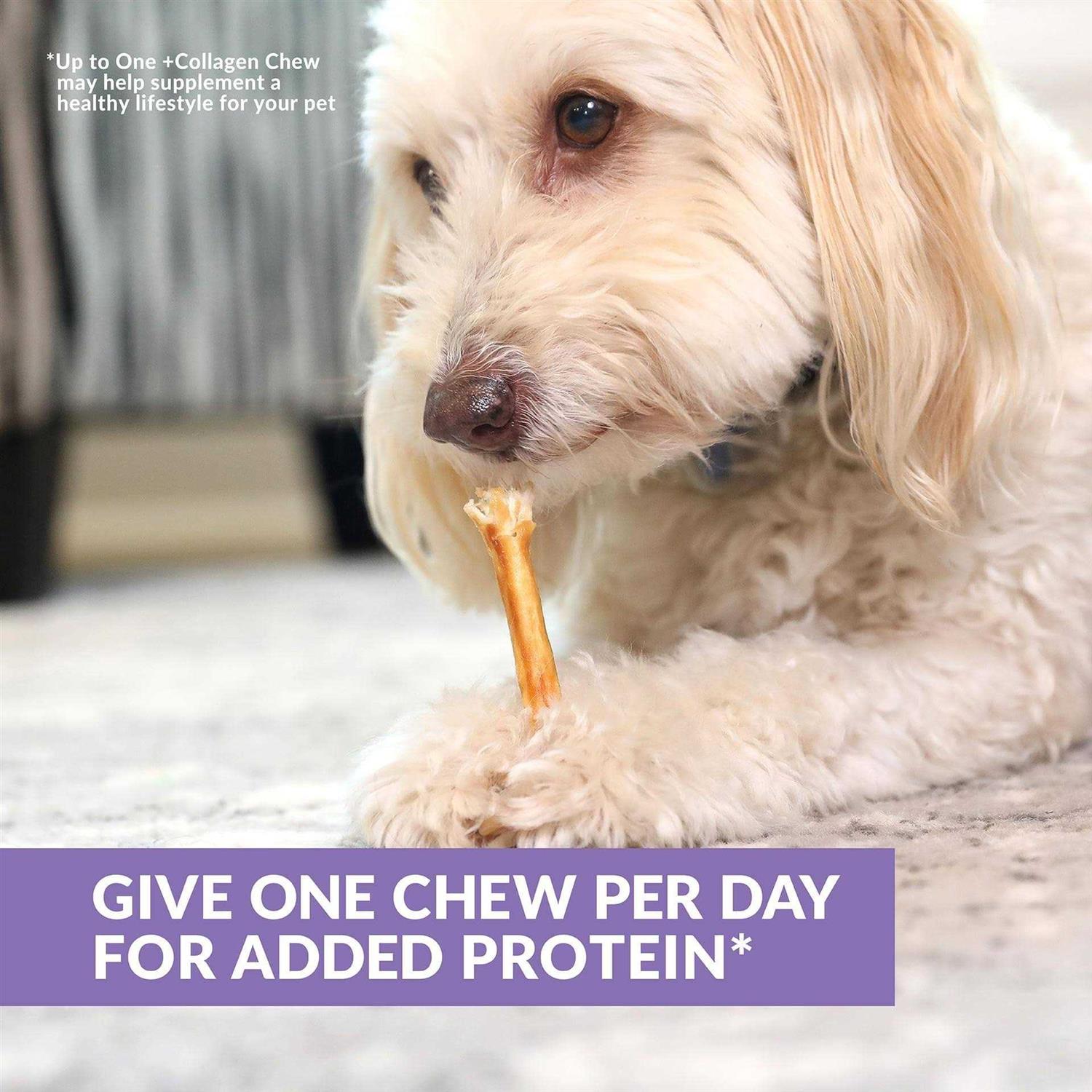 Wild Eats Beef Collagen Sticks for Dogs Long Lasting Dog Chews No Hide Dog Treat Bully Stick Rawhide Free - Image 4