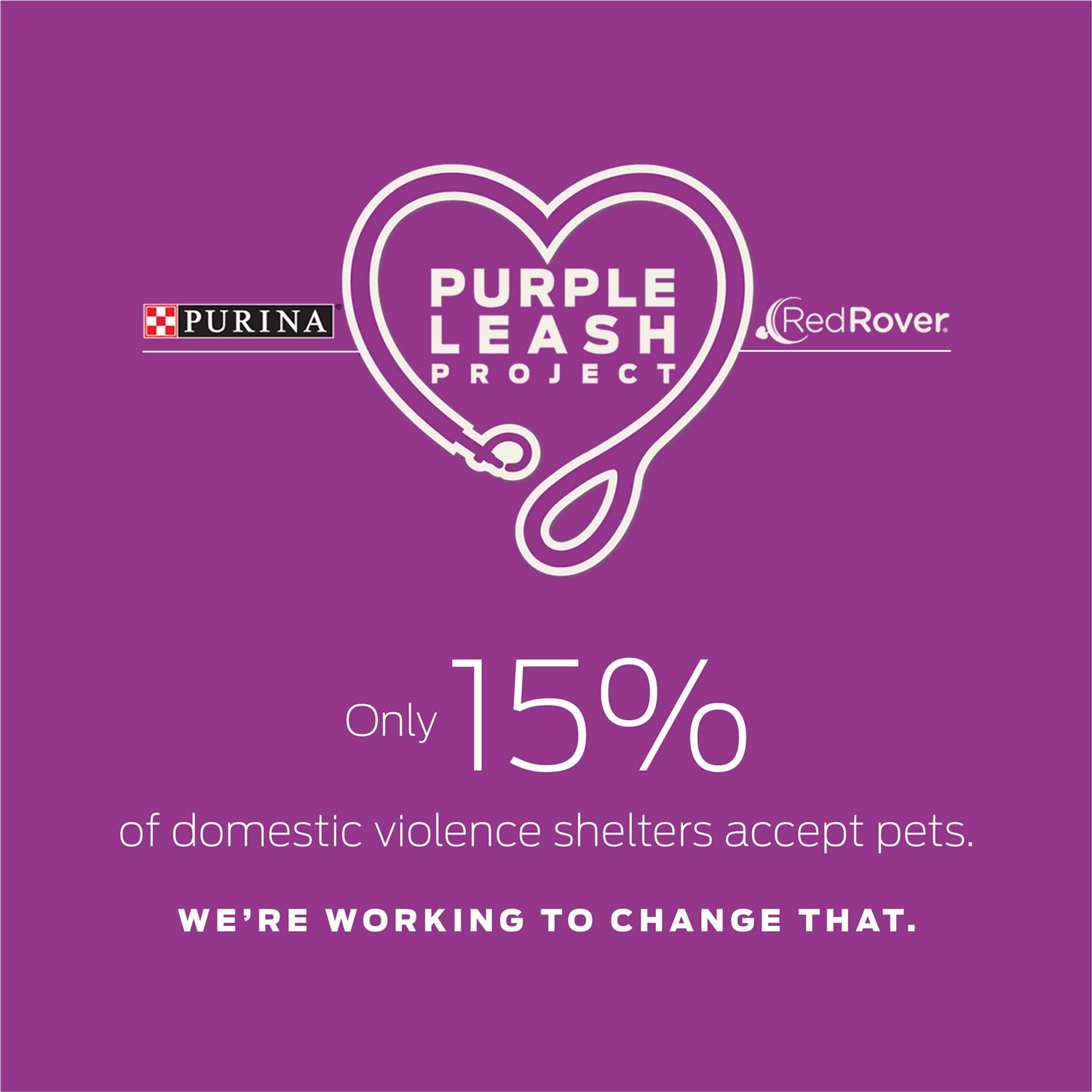 Tidy Cats Cat Litter Clumping Instant Action - Image 4