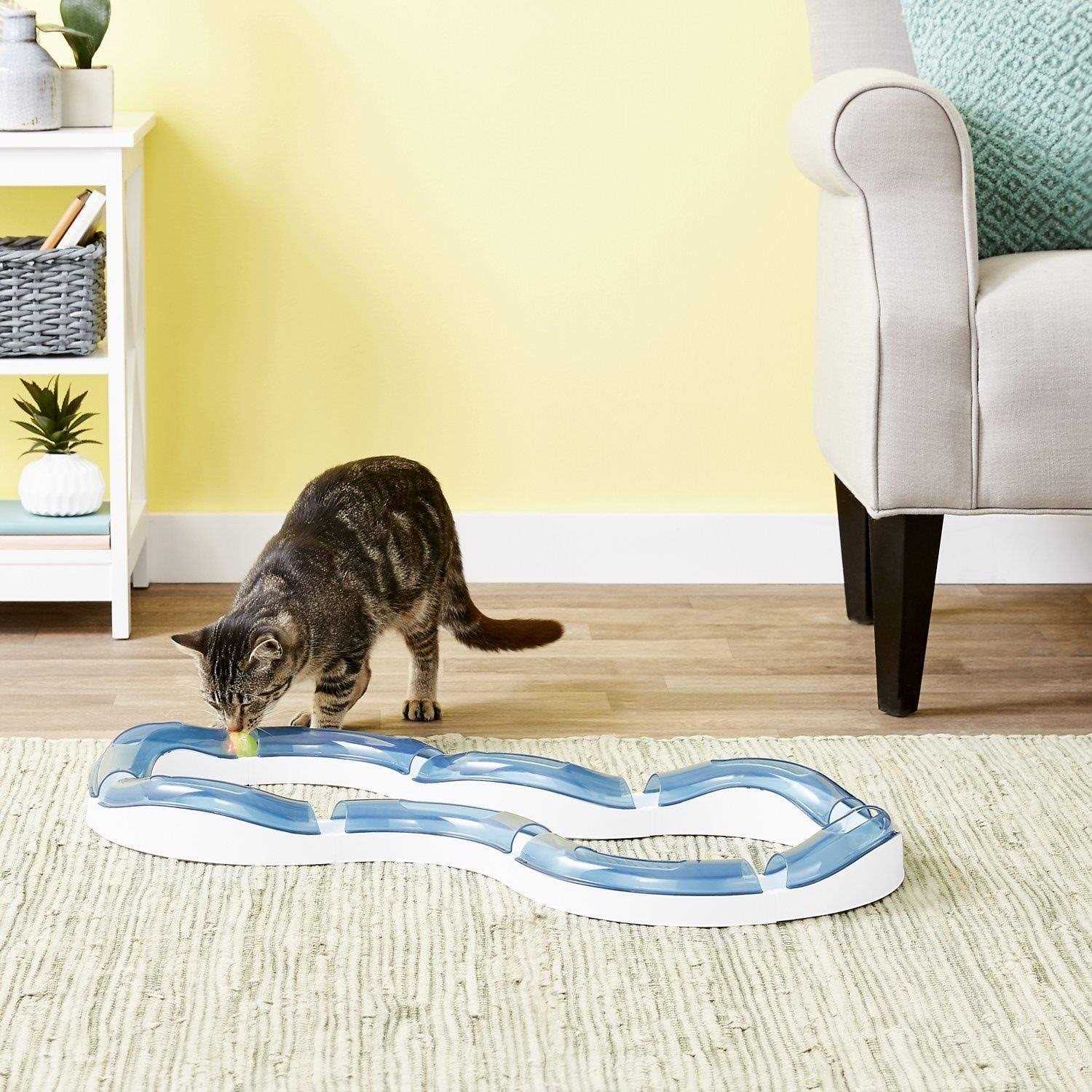 Catit Design Senses Super Roller Circuit Cat Toy - Image 3