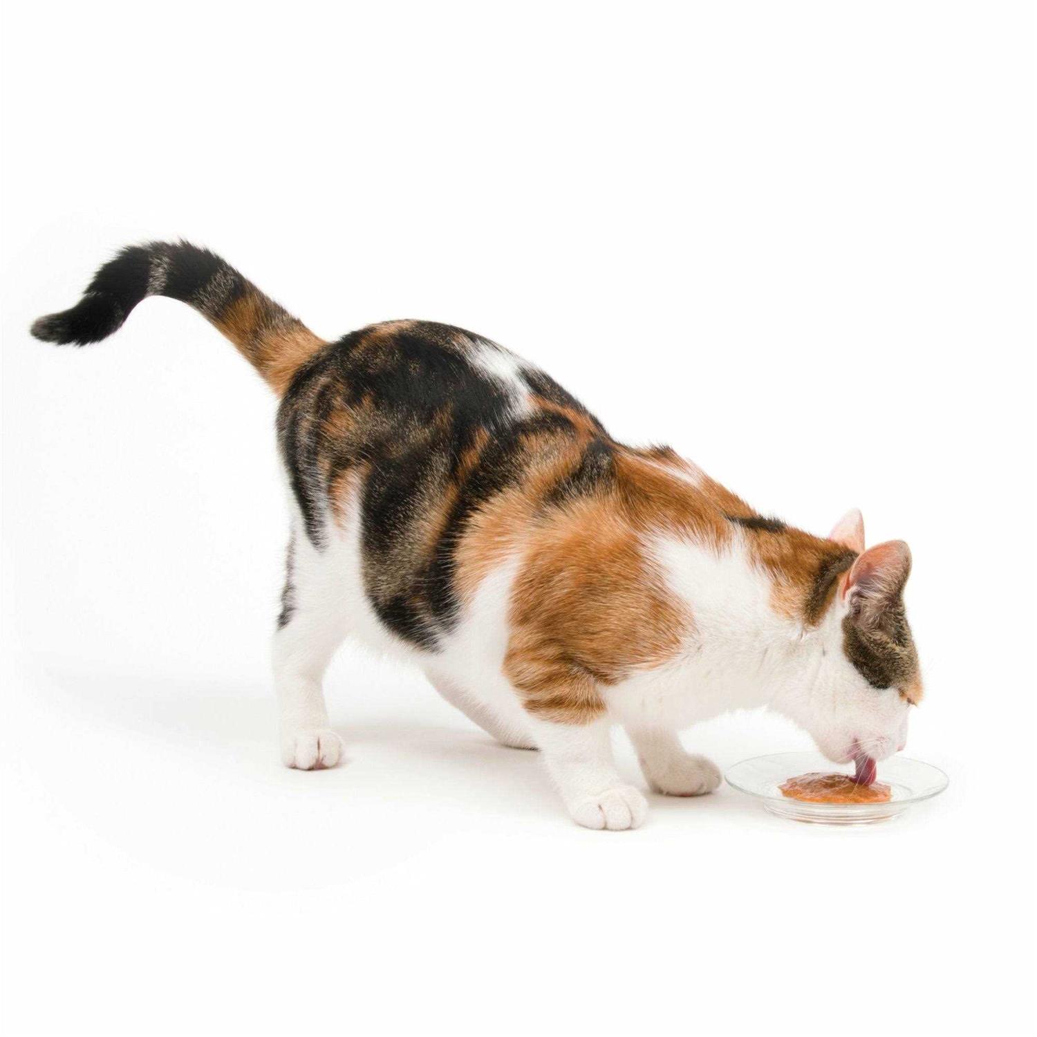 Catit Creamy Cat - Image 3