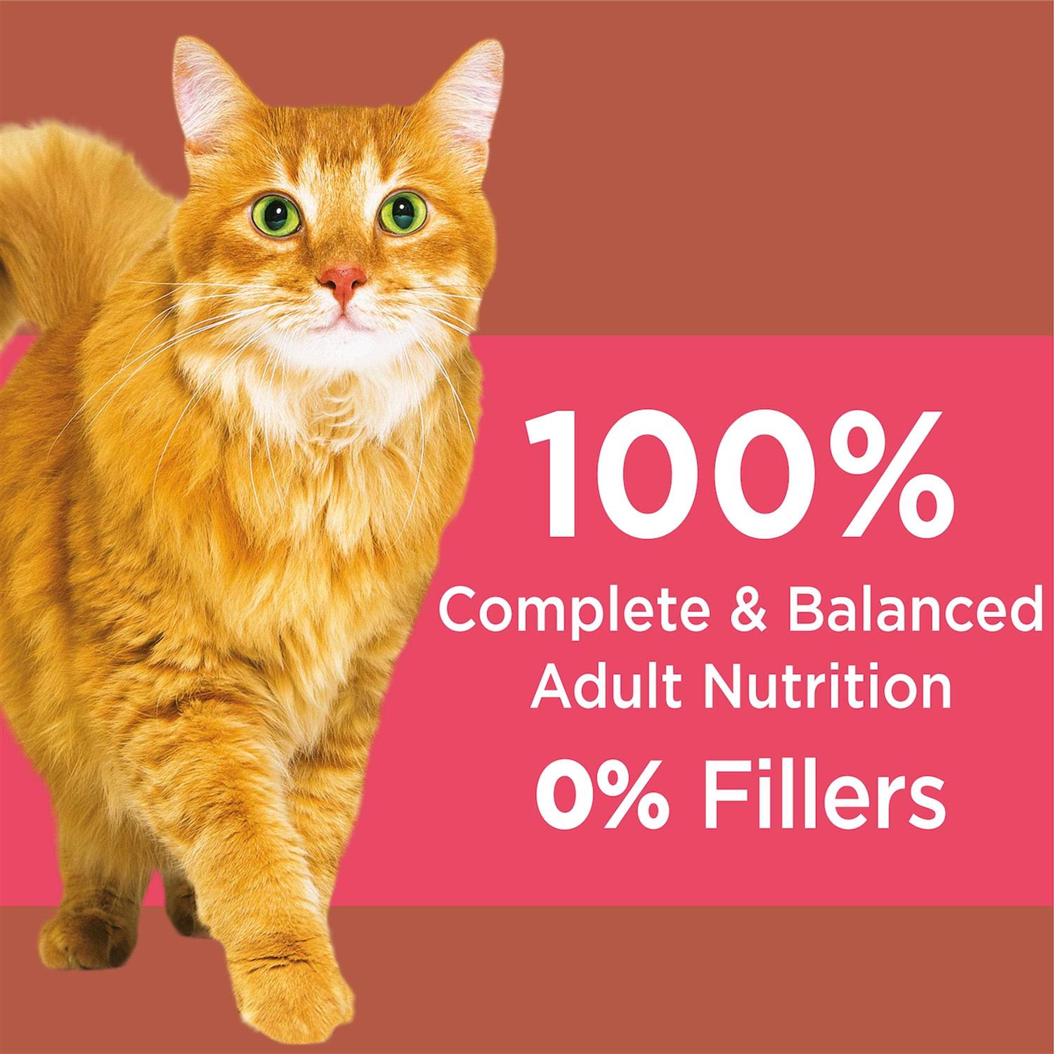 Iams Proactive Health High Protein Adult Dry Cat Food with Chicken & Salmon - Image 5