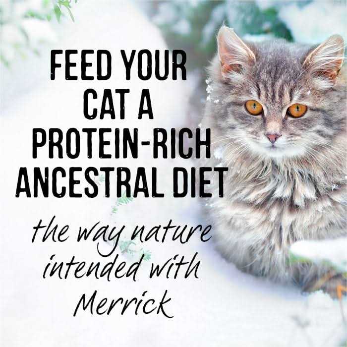 Merrick Backcountry Cat Food Real Cuts - Image 3
