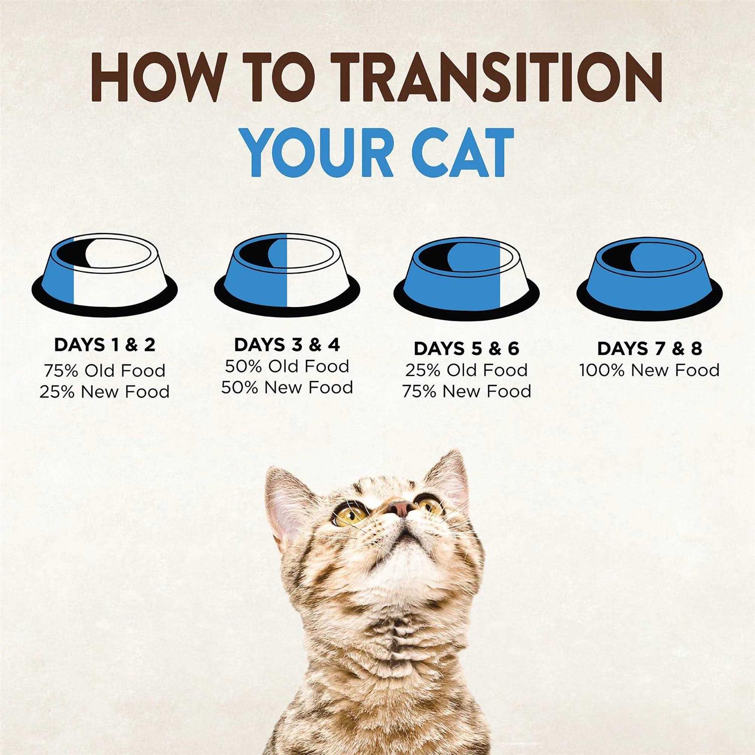 Wellness Core Signature Selects Grain Free Canned Cat Food - Image 3