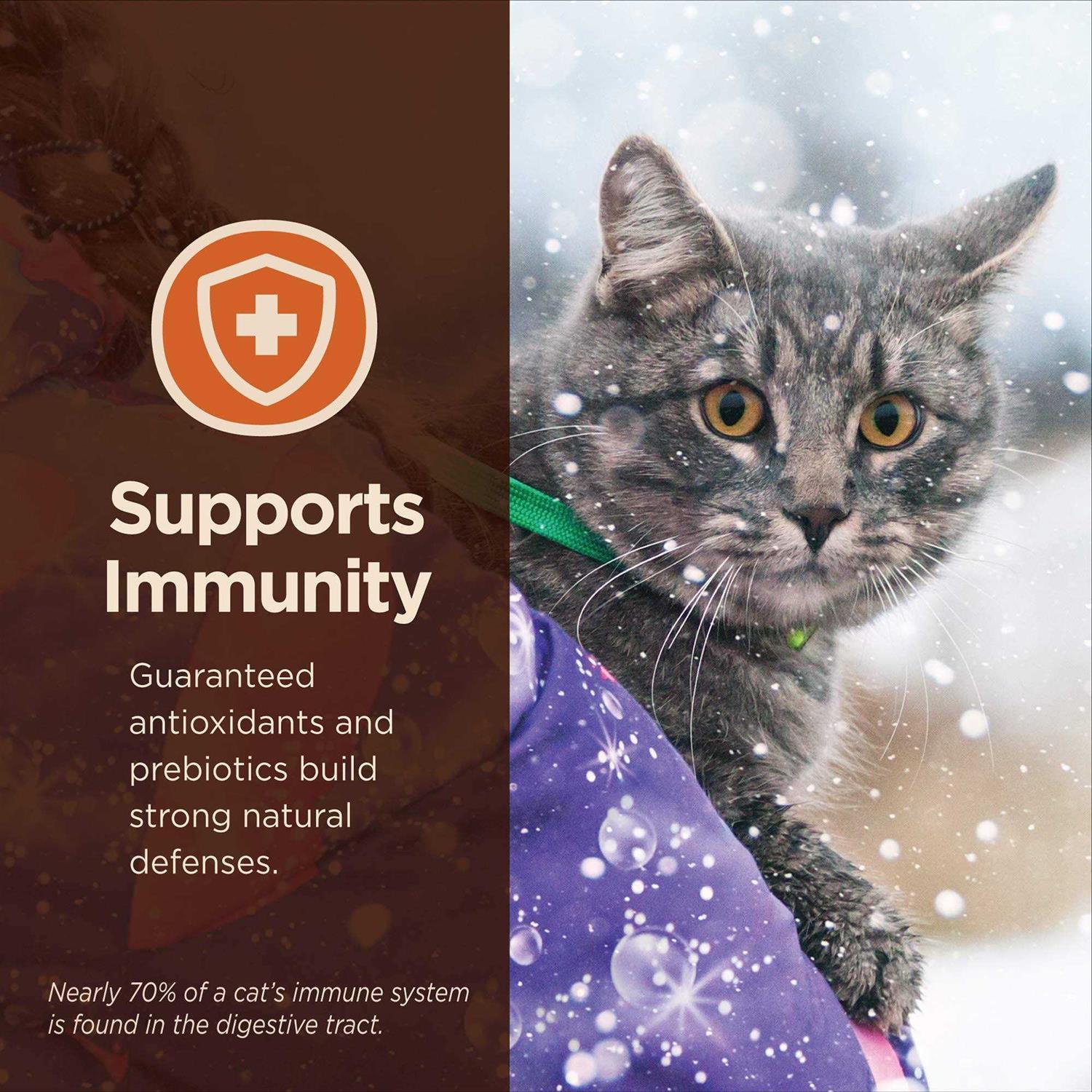 Wellness Core Digestive Health Chicken & Rice Dry Cat Food - Image 3