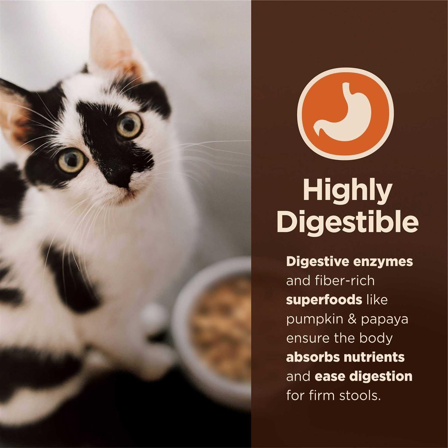 Wellness Core Digestive Health Chicken & Rice Dry Cat Food - Image 5