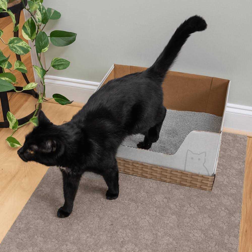 Kitty Poo Club Recyclable Cat Litter Box with Clay Litter - Image 4