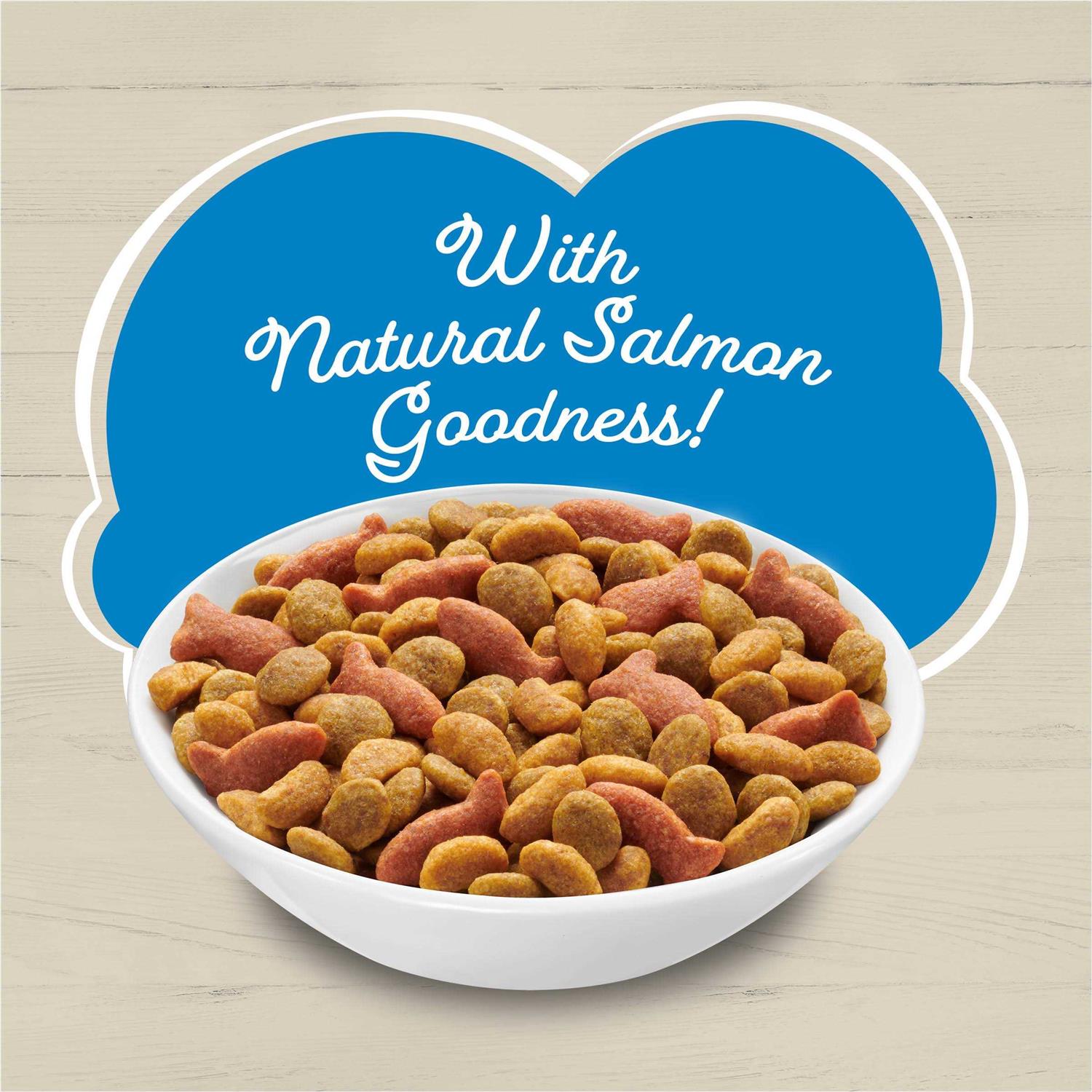 Friskies Ocean Favorites Dry Cat Food With Natural Salmon - Image 5
